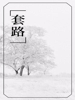 套路