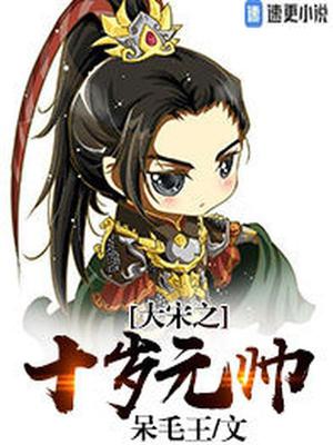 大宋之十岁元帅