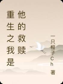重生之我是他的救赎