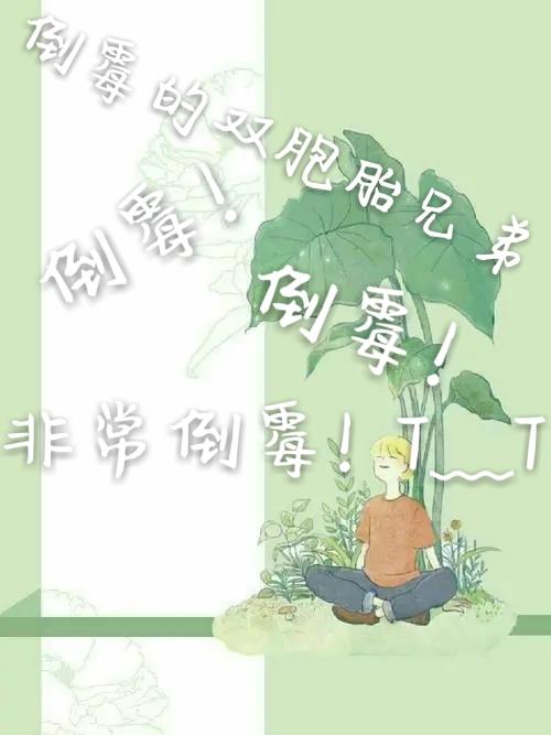 倒霉的双胞胎兄弟