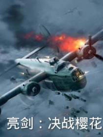 亮剑：决战樱花
