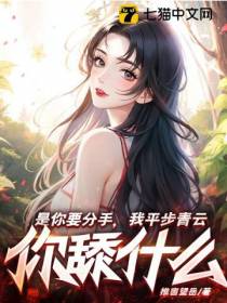 是你要分手,我平步青云你舔什么