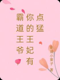 霸道王爷,你的王妃有点猛