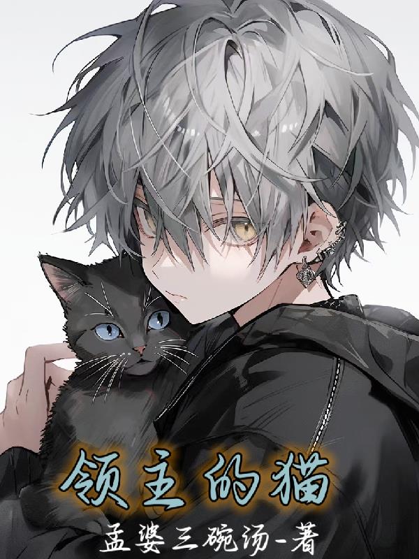 领主的猫
