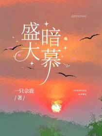 盛大暗慕