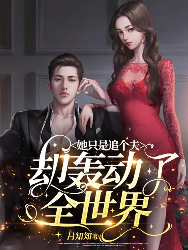 她只是追个夫,却轰动了全世界