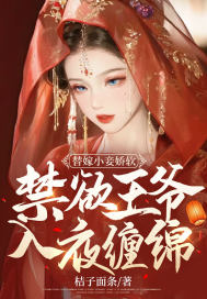 替嫁小妾娇软,禁欲王爷入夜缠绵