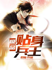 极品贴身兵王
