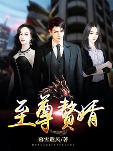 至尊赘婿
