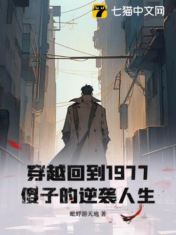 穿越回到1977，傻子的逆袭人生