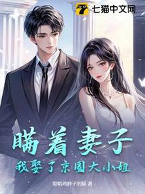 瞒着妻子，我娶了京圈大小姐
