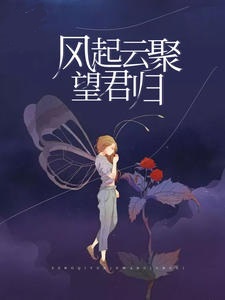 风起云聚望君归